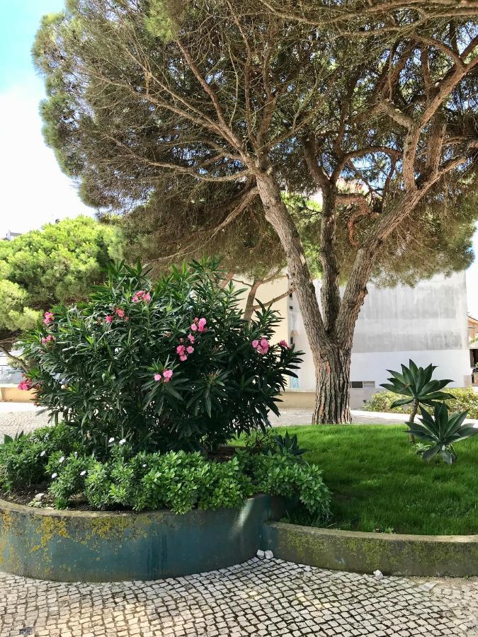 Pine Apartment - A 3M Da Ciclovia Guincho กาชไกช์ ภายนอก รูปภาพ